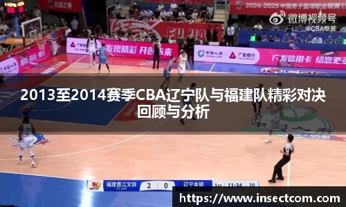 2013至2014赛季CBA辽宁队与福建队精彩对决回顾与分析
